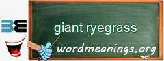 WordMeaning blackboard for giant ryegrass